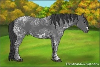 Horse Color:Black Ice Frame