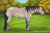 Horse Color:Bay Ice Roan 