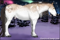 Horse Color:White Spotted Sable Champagne