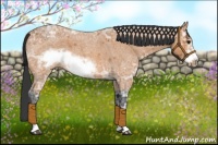 Horse Color:Bay Ice Roan Sabino Frame