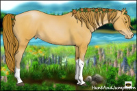 Horse Color:Bay Pearl 