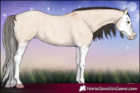 Horse Color:Bay Roan Dun Splash