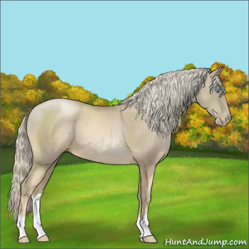 Horse Color:Chocolate Palomino Pearl Mushroom 