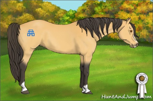 Horse Color:Buckskin Sabino 