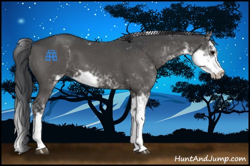 Horse Color:Black Sabino