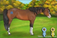 Horse Color:Bay Sabino Splash and Brown Sabino Splash Tobiano