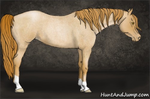Horse Color:Red Roan Pearl 