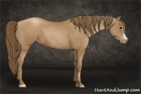 Horse Color:Black Pearl