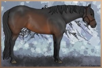 Horse Color:Brown Rabicano 