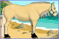 Horse Color:Palomino