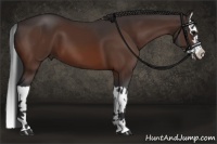 Horse Color:Brown Splash