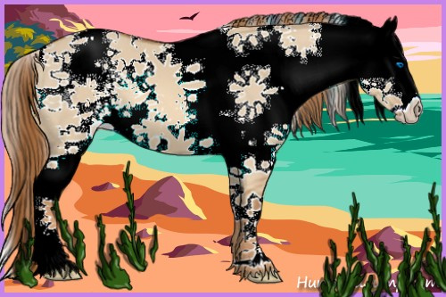 Horse Color:White Spotted Red Dun Splash 