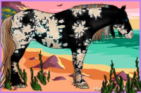 Horse Color:White Spotted Red Dun Splash 