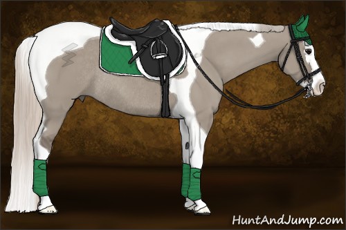 Horse Color:Silver Grullo Splash Tobiano Rabicano 