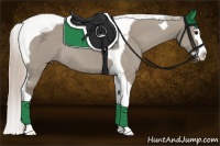 Horse Color:Silver Grullo Splash Tobiano Rabicano