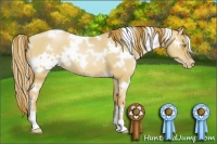 Horse Color:White Spotted Red Dun Pearl 