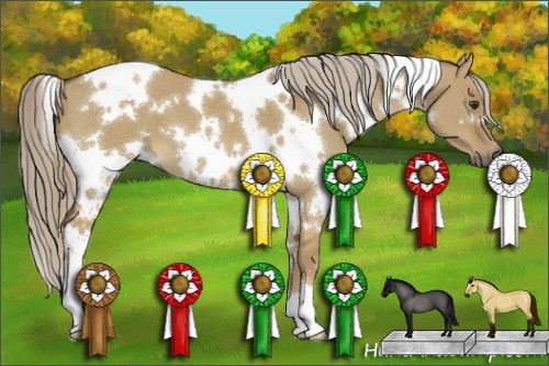 Horse Color:White Spotted Chocolate Palomino Dun 