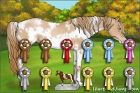 Horse Color:White Spotted Chestnut Pearl 