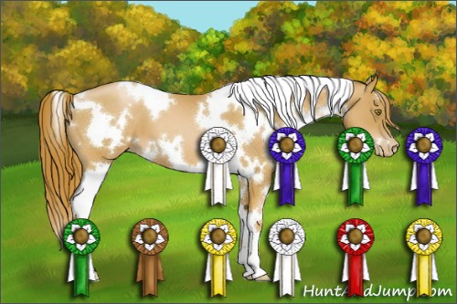 Horse Color:White Spotted Chestnut Pearl