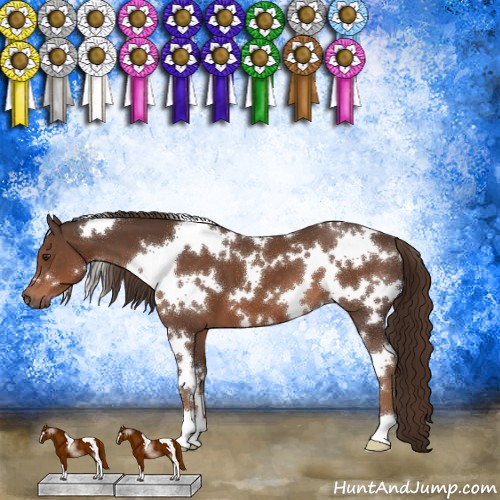 Horse Color:White Spotted Liver Chestnut 