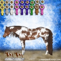 Horse Color:White Spotted Liver Chestnut 