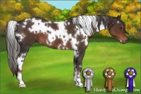 Horse Color:White Spotted Liver Chestnut 