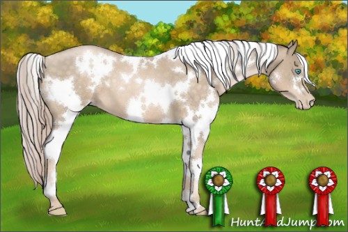 Horse Color:White Spotted Chocolate Palomino Pearl 