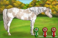 Horse Color:White Spotted Chocolate Palomino Pearl 