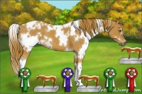 Horse Color:White Spotted Chestnut 