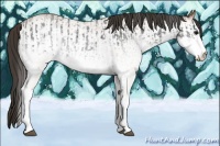 Horse Color:White Spotted Blue Roan Rabicano  and White Spotted Bay Roan Rabicano 