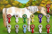 Horse Color:White Spotted Buckskin Pearl 