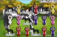 Horse Color:White Spotted Black
