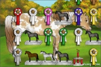 Horse Color:White Spotted Red Dun 