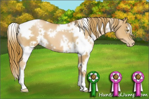 Horse Color:White Spotted Chestnut Pearl