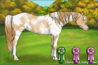 Horse Color:White Spotted Chestnut Pearl 