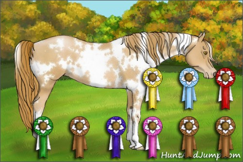 Horse Color:White Spotted Chestnut Pearl