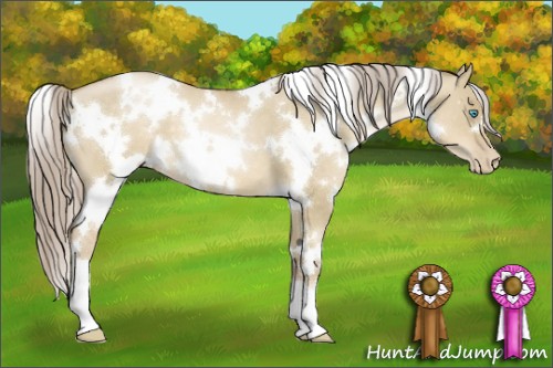 Horse Color:White Spotted Chocolate Palomino Pearl Dun 