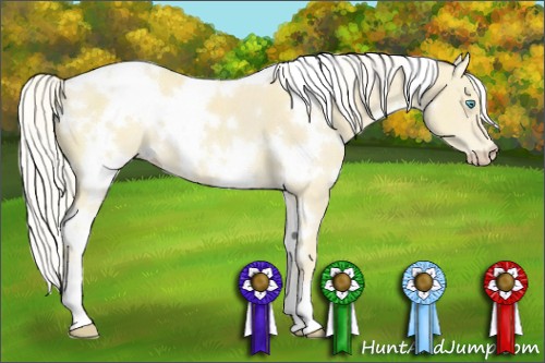 Horse Color:White Spotted Cremello 
