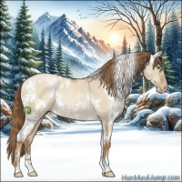 Horse Color:White Spotted Liver Red Dun Pearl