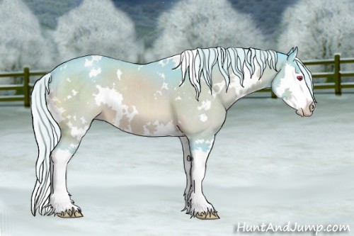 Horse Color:Watercolor White Spotted Chocolate Silver Brown Chinchilla Splash 