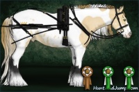 Horse Color:Buckskin Dun Sabino Tobiano Blanket 