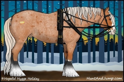 Horse Color:Silver Bay Roan Sabino Splash 