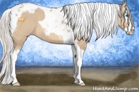 Horse Color:Silver Bay Dun Splash Tobiano 