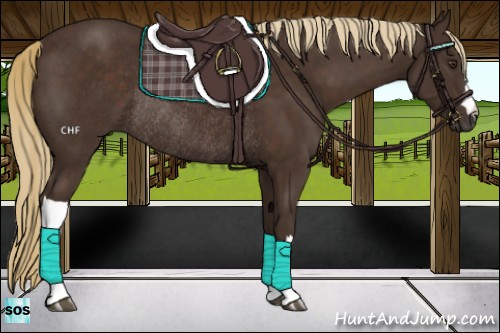 Horse Color:Liver Chestnut Rabicano 
