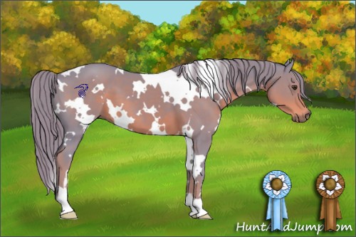 Horse Color:Watercolor White Spotted Liver Chestnut 