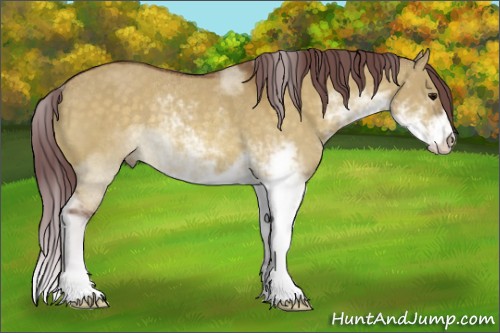 Horse Color:Chocolate Buckskin Dun Sabino Rabicano 