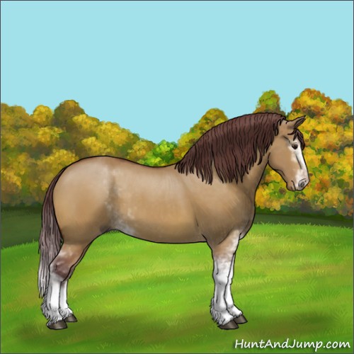 Horse Color:Chocolate Buckskin Dun Sabino 