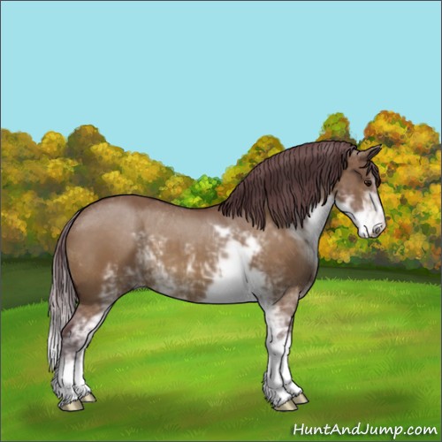 Horse Color:Chocolate Brown Dun Sabino 