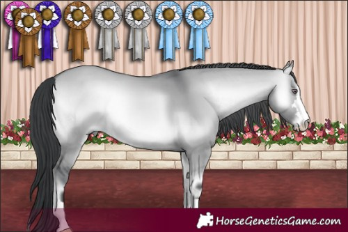 Horse Color:Brown Chinchilla Onyx 