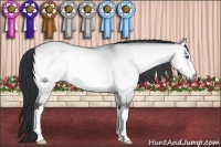 Horse Color:Brown Chinchilla Onyx 